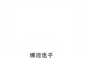 《逆风调度》宣传物料重制对照封面
